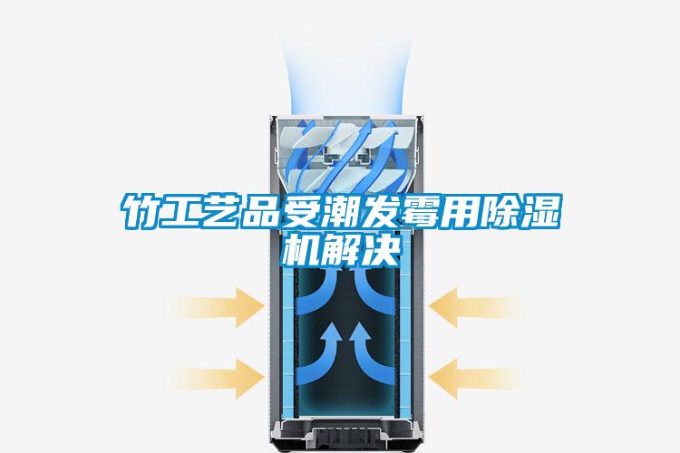 竹工藝品受潮發(fā)霉用除濕機解決