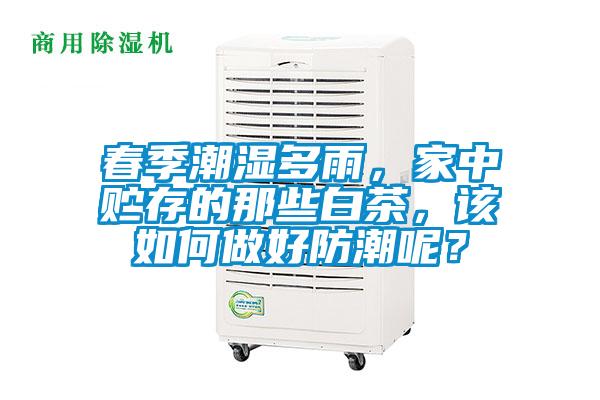 春季潮濕多雨，家中貯存的那些白茶，該如何做好防潮呢？