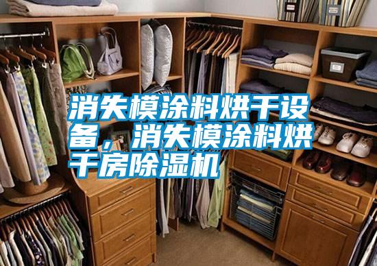 消失模涂料烘干設備,消失模涂料烘干房除濕機