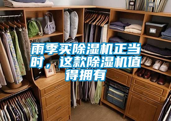雨季買除濕機正當時,這款除濕機值得擁有