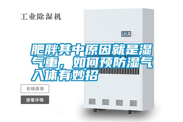 肥胖其中原因就是濕氣重，如何預(yù)防濕氣入體有妙招