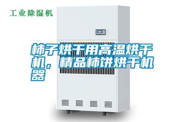 柿子烘干用高溫烘干機，精品柿餅烘干機器