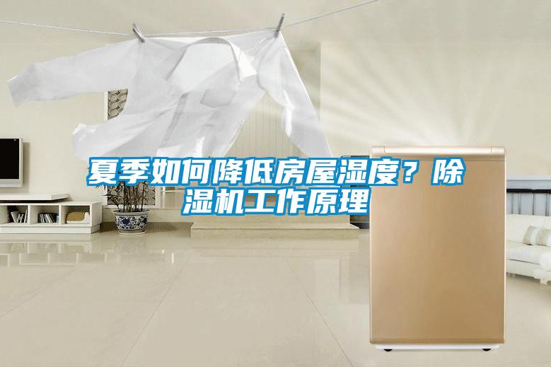夏季如何降低房屋濕度？除濕機工作原理