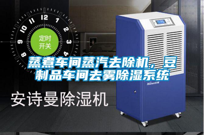 蒸煮車間蒸汽去除機，豆制品車間去霧除濕系統