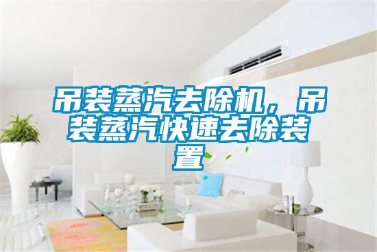 吊裝蒸汽去除機(jī)，吊裝蒸汽快速去除裝置