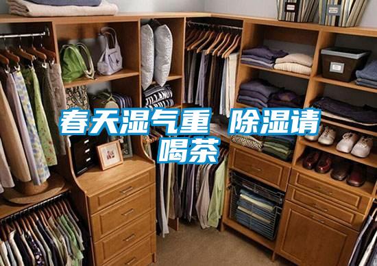 春天濕氣重 除濕請喝茶