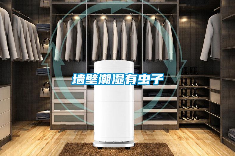 墻壁潮濕有蟲(chóng)子