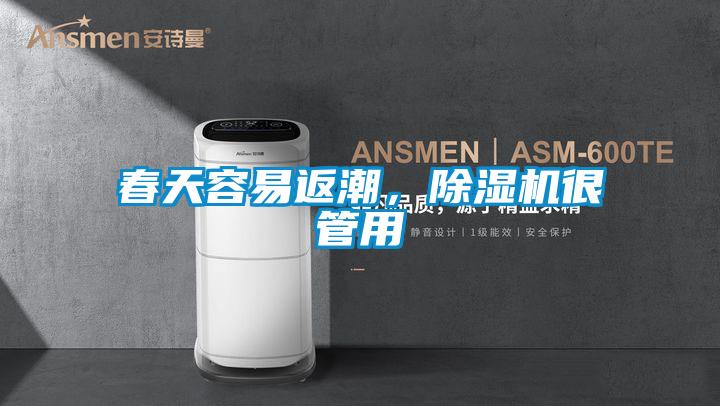 春天容易返潮，除濕機很管用
