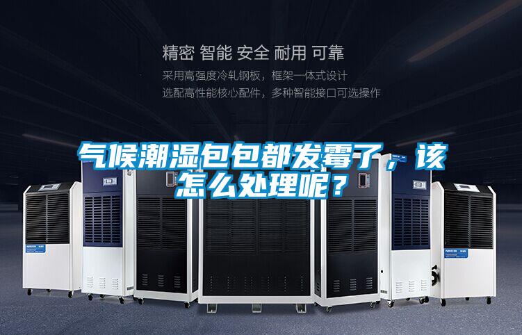 氣候潮濕包包都發(fā)霉了，該怎么處理呢？