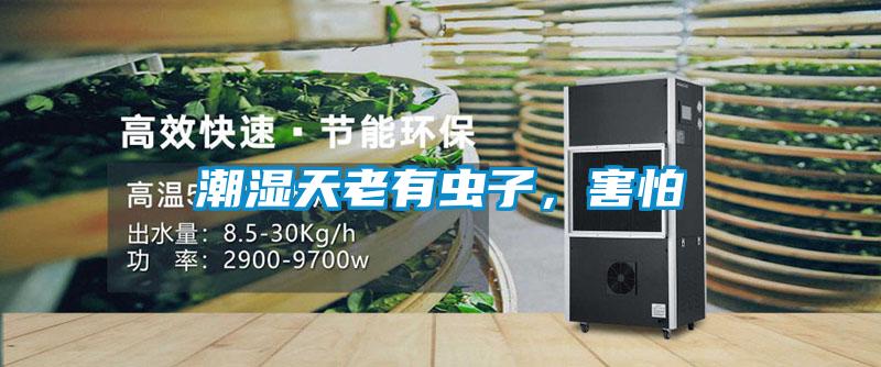 潮濕天老有蟲子，害怕