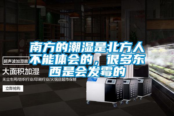 南方的潮濕是北方人不能體會(huì)的，很多東西是會(huì)發(fā)霉的