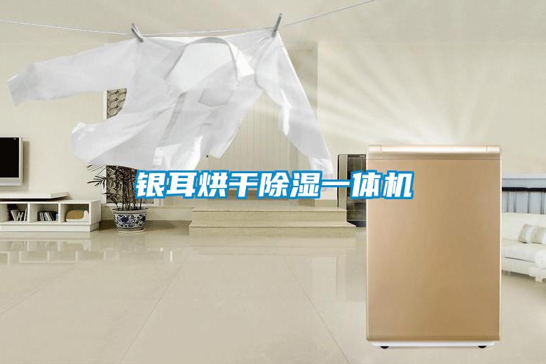 銀耳烘干除濕一體機