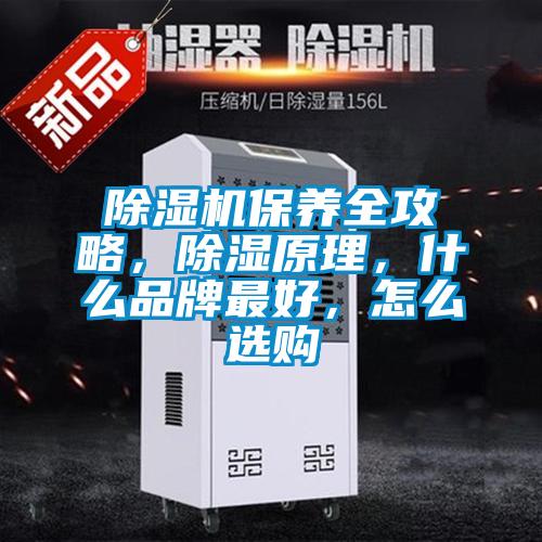 除濕機保養全攻略，除濕原理，什么品牌最好，怎么選購