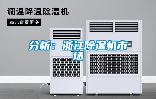 分析：浙江除濕機(jī)市場