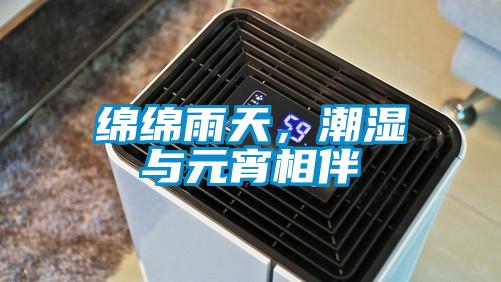 綿綿雨天，潮濕與元宵相伴