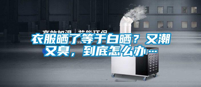 衣服曬了等于白曬？又潮又臭，到底怎么辦…