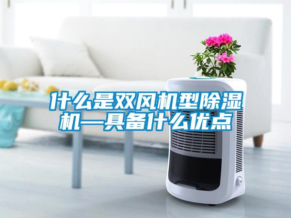 什么是雙風機型除濕機—具備什么優點