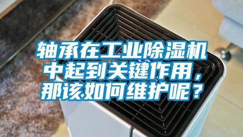 軸承在工業(yè)除濕機中起到關(guān)鍵作用,那該如何維護呢?