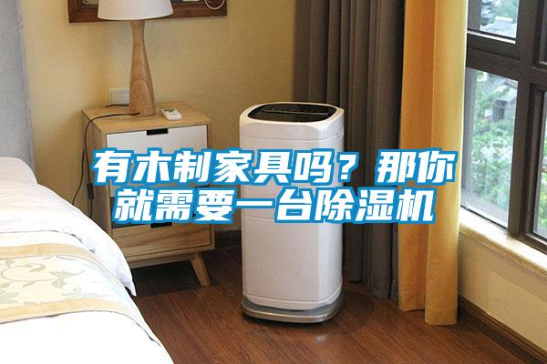 有木制家具嗎？那你就需要一臺除濕機