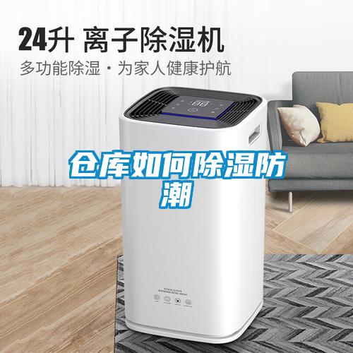倉(cāng)庫(kù)如何除濕防潮