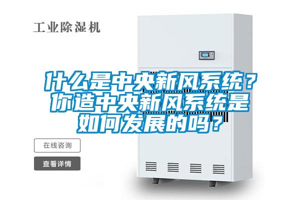 什么是中央新風系統?你造中央新風系統是如何發展的嗎?