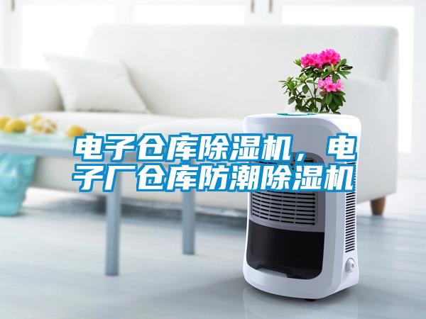 電子倉庫除濕機，電子廠倉庫防潮除濕機