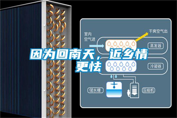 因為回南天，近鄉(xiāng)情更怯