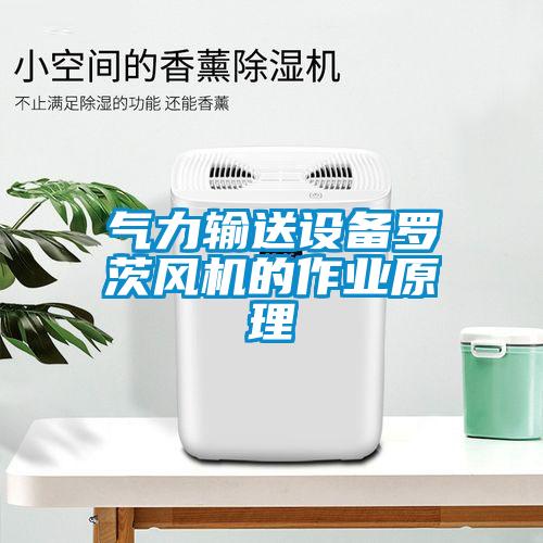 氣力輸送設備羅茨風機的作業(yè)原理