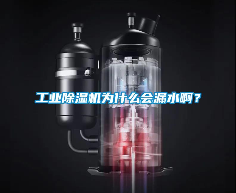 工業(yè)除濕機為什么會漏水啊？