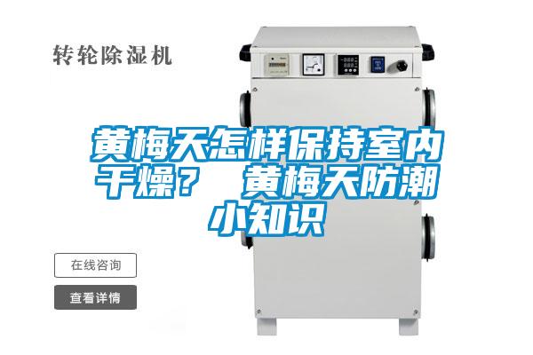 黃梅天怎樣保持室內干燥？ 黃梅天防潮小知識