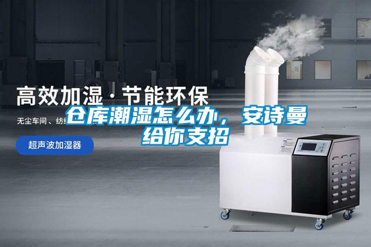 倉庫潮濕怎么辦,安詩曼給你支招