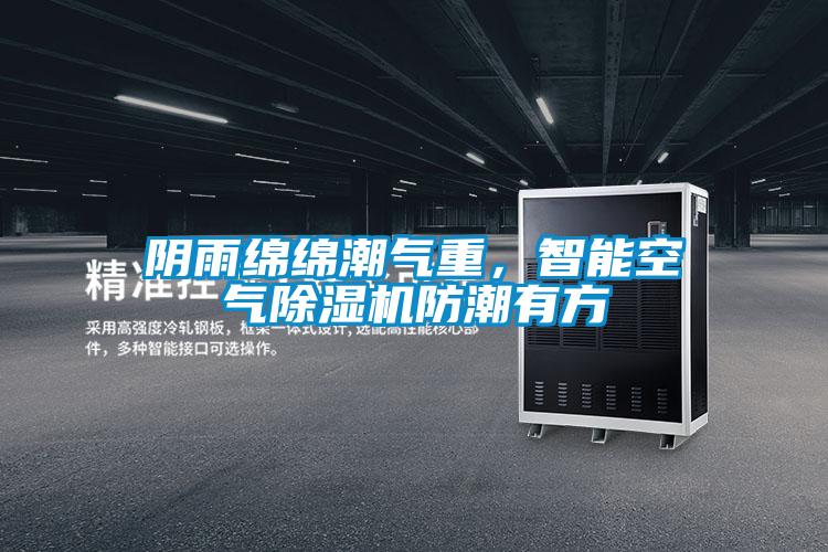 陰雨綿綿潮氣重,智能空氣除濕機防潮有方