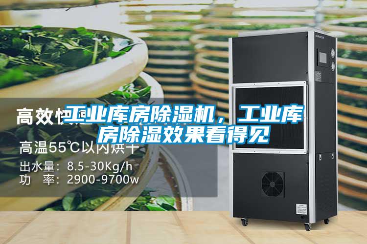 工業(yè)庫(kù)房除濕機(jī)，工業(yè)庫(kù)房除濕效果看得見(jiàn)