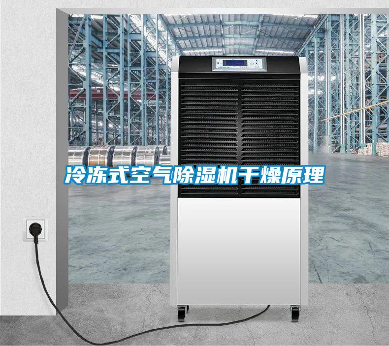 冷凍式空氣除濕機干燥原理