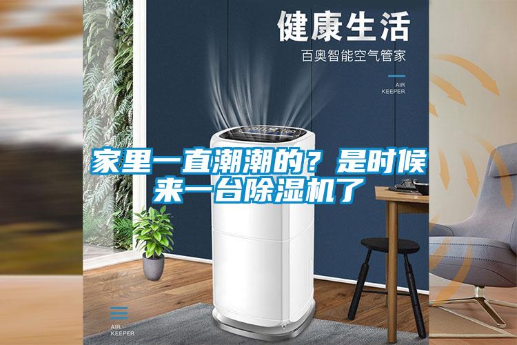 家里一直潮潮的？是時候來一臺除濕機了