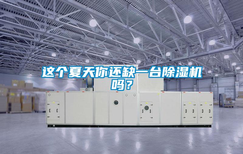 這個(gè)夏天你還缺一臺(tái)除濕機(jī)嗎？
