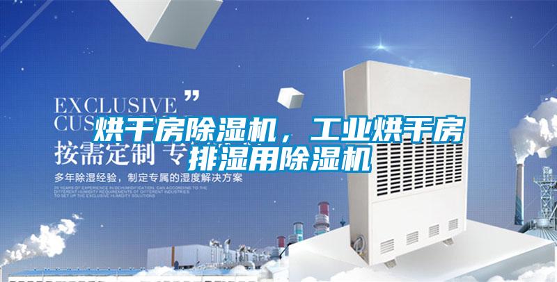 烘干房除濕機，工業烘干房排濕用除濕機