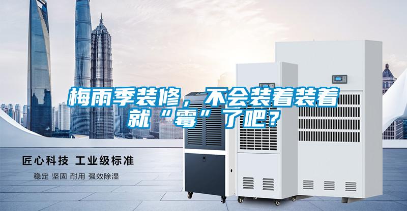 梅雨季裝修，不會裝著裝著就“霉”了吧？