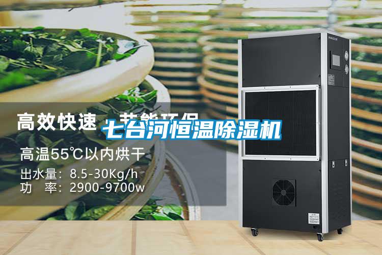 七臺河恒溫除濕機