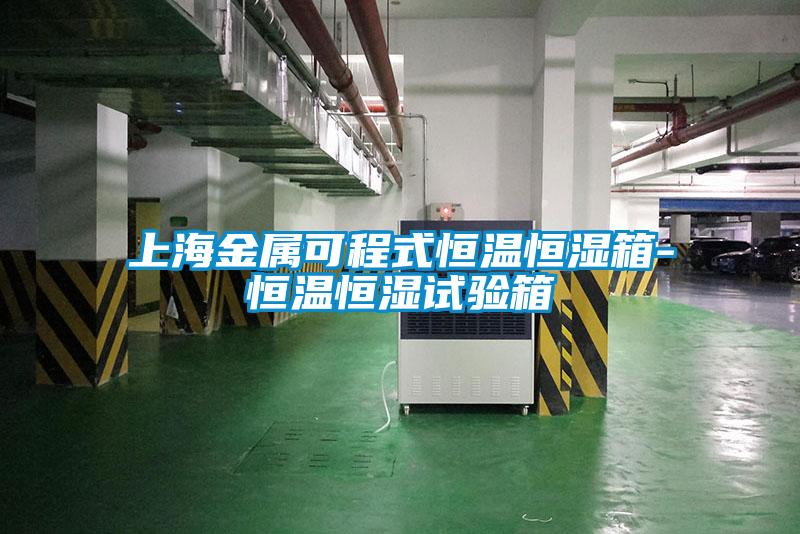 上海金屬可程式恒溫恒濕箱-恒溫恒濕試驗箱