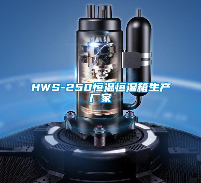 HWS-250恒溫恒濕箱生產廠家