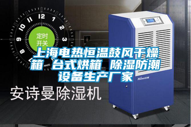 上海電熱恒溫鼓風干燥箱 臺式烘箱 除濕防潮設備生產廠家