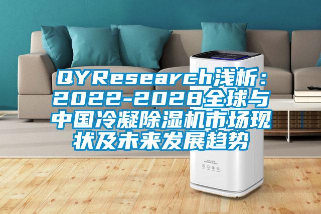 QYResearch淺析：2022-2028全球與中國冷凝除濕機(jī)市場現(xiàn)狀及未來發(fā)展趨勢