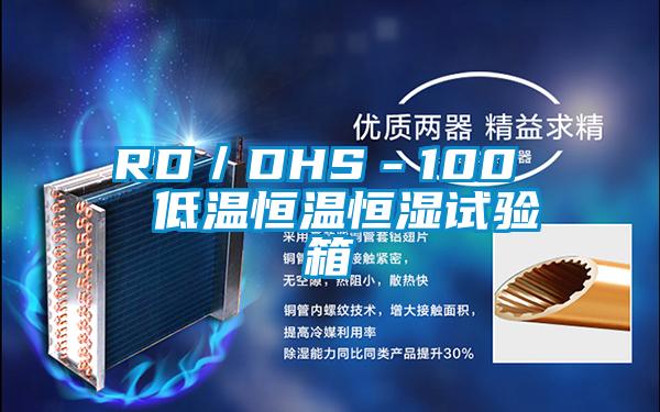 RD／DHS－100  低溫恒溫恒濕試驗(yàn)箱