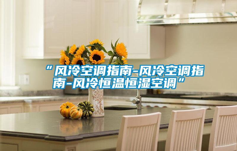 “風冷空調指南-風冷空調指南-風冷恒溫恒濕空調”