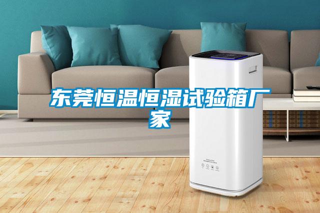 東莞恒溫恒濕試驗(yàn)箱廠家