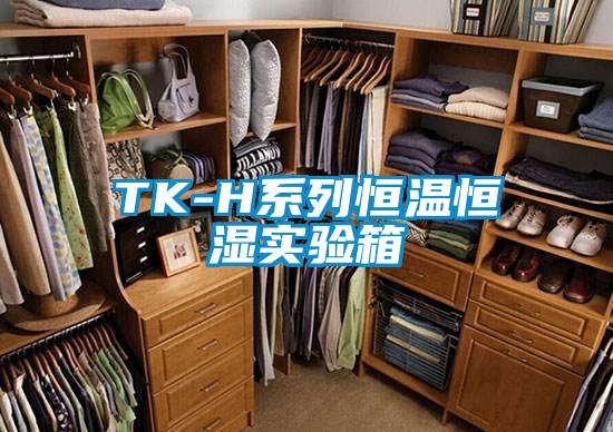 TK-H系列恒溫恒濕實驗箱
