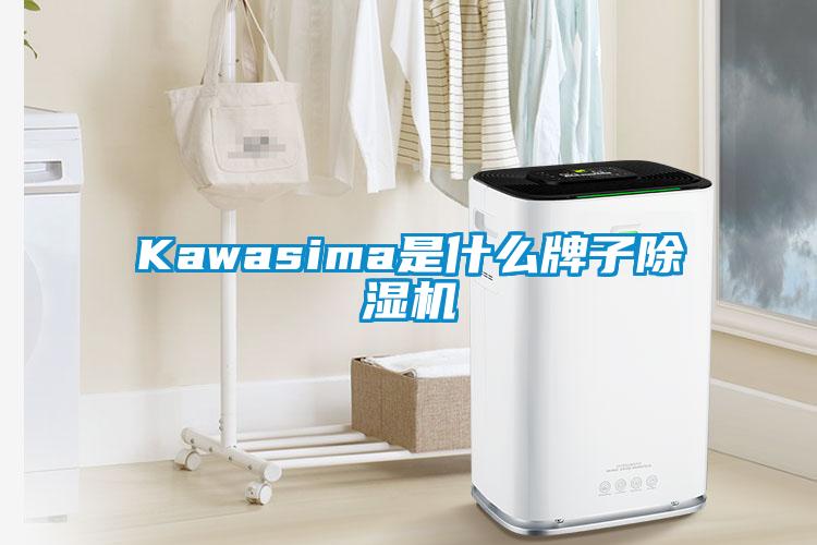 Kawasima是什么牌子除濕機