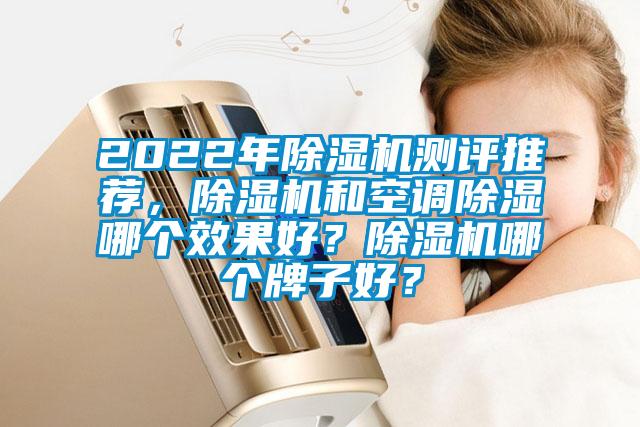 2022年除濕機測評推薦，除濕機和空調(diào)除濕哪個效果好？除濕機哪個牌子好？