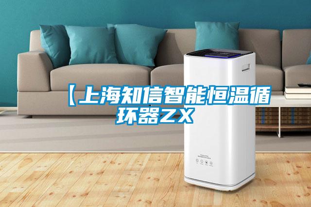 【上海知信智能恒溫循環器ZX